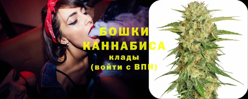 Бошки Шишки Amnesia  купить   Белёв 